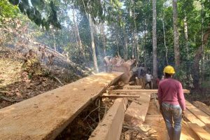 People working on road construction project